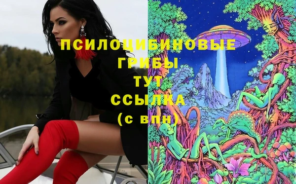 крисы Киренск