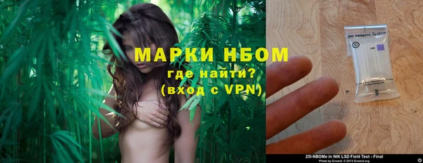 ГАЛЛЮЦИНОГЕННЫЕ ГРИБЫ Осинники