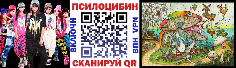 купить наркоту Костомукша Псилоцибиновые грибы мухоморы